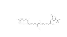 127062-22-0        Sulfo-NHS-LC-Biotin	       水溶生物素活性酯交聯(lián)劑，6-(生物素酰胺)己酸磺酸基琥珀酰亞胺酯鈉鹽	