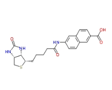1217755-61-7，N-Biotinyl-6-amino-2-naphthoic Acid