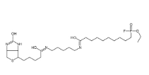 [CAS 259270-28-5]，F(xiàn)P-Biotin 