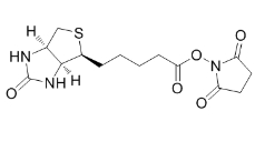生物素-N-琥珀酰亞胺基酯；35013-72-0	；BIOTIN-NHS