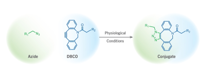 DBCO-PEG6-NHS ester ；二苯基環(huán)辛炔-六聚乙二醇-N-羥基琥珀酰亞胺