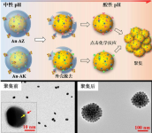 Cy7 DBCO；Cy7-Dibenzylcyclooctyne； Cyanine7-二苯基環(huán)辛炔