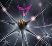 N3-TPPC6-N3；疊氮-卟啉-疊氮；azide-TPPC6-azide