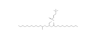 1,2-二十二酰基-sn-glycero-3-膽堿磷酸(DLPC)，18194-25-7