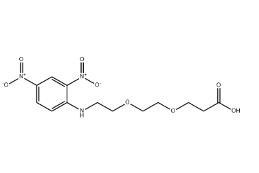 CAS：1353011-89-8 ，DNP-PEG2-COOH，2,4-二硝基苯胺-二聚乙二醇-丙酸