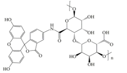 FITC-Alginate