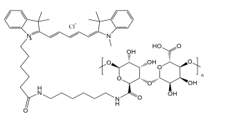 CY5-Alginate